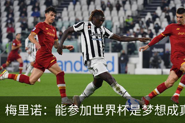 梅里诺：能参加世界杯是梦想成真，我克服了受伤的艰难时刻